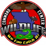 Wildlife Removal Solutions