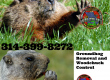 Groundhog Woodchuck removal control how to get rid of Whistle Pigs
