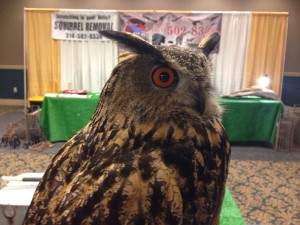 Wildlife Command Center Owl
