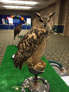 Wildlife Command Center Owl & Hawk
