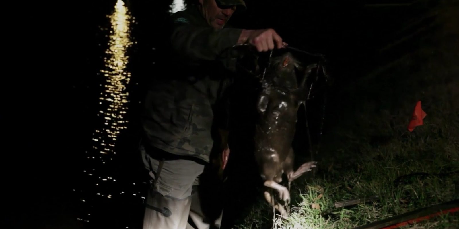 Rodents of Unusual Size Rodents of Unusual Size WCC