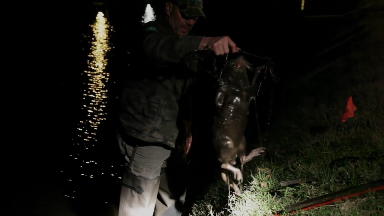 Rodents of Unusual Size Rodents of Unusual Size WCC