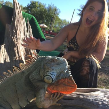 iguana party wildlife command center