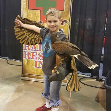 hawk for children