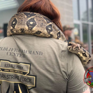 snakes for movies